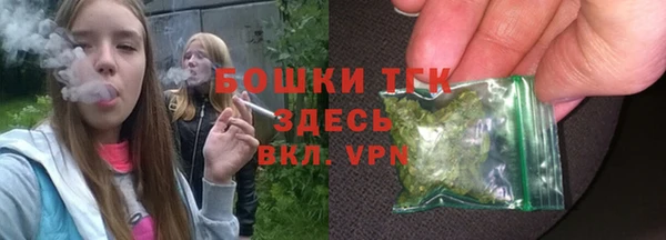 дмт Арсеньев
