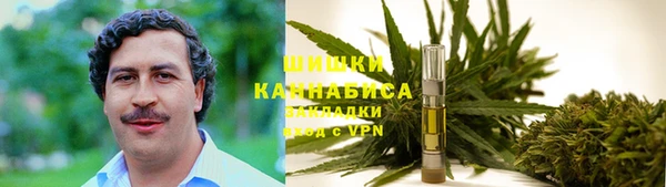 дмт Арсеньев