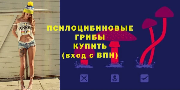 дмт Арсеньев