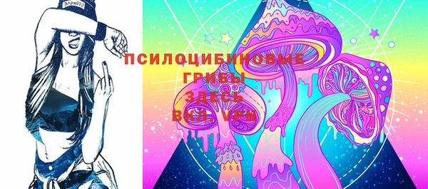 дмт Арсеньев